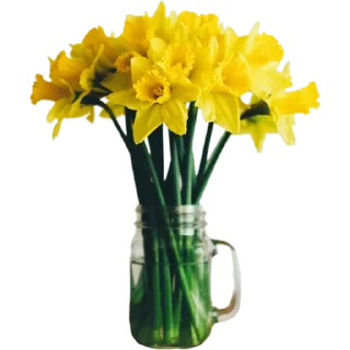 🌼
