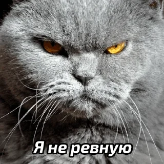 🤯