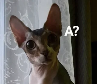 ❓