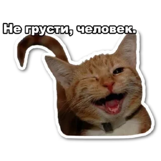 😜