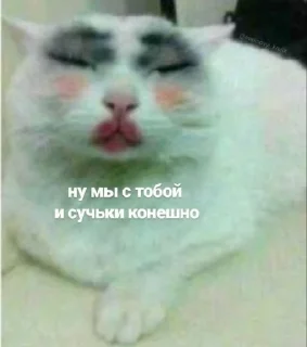 👄