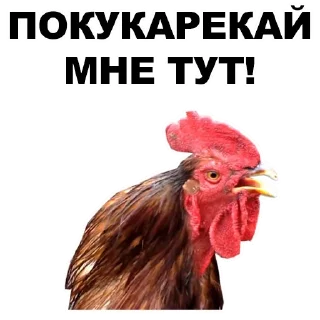 🏃