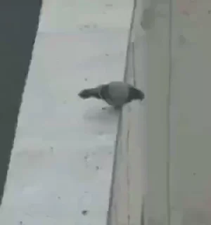 😩