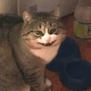 🤮