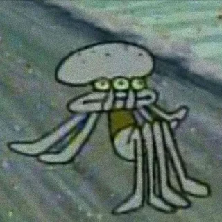 🧽