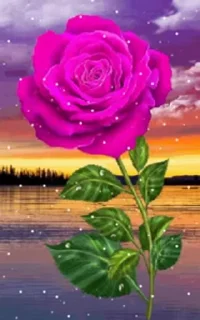 🌷