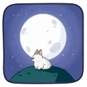 🌕