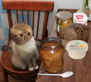 🍜