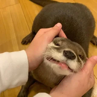 ☺️