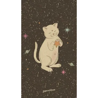 ✨