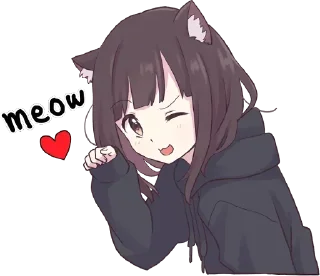 😽