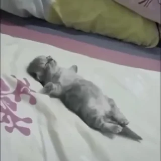 🥺