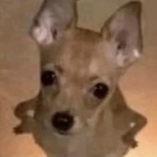 🤨