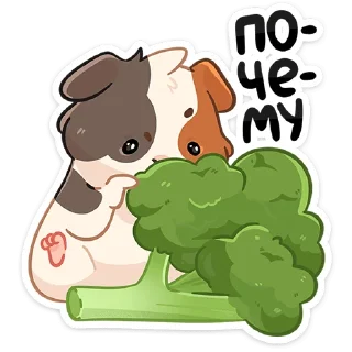 🥦