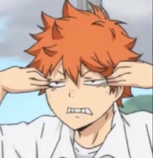 🍊