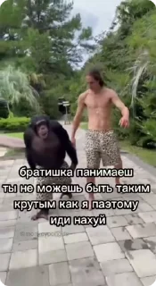 😎