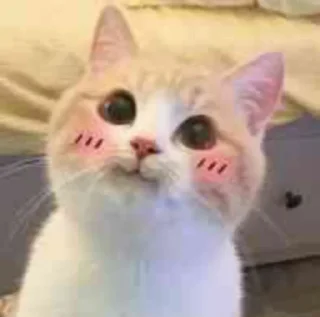 ☺️