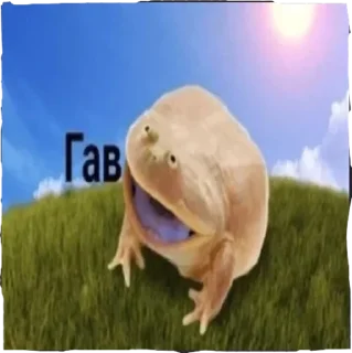 🐶