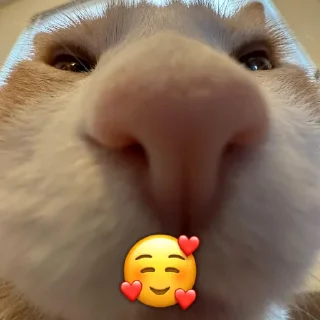🥰