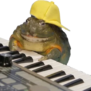 🎹