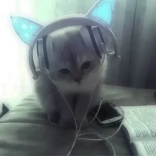 🥺