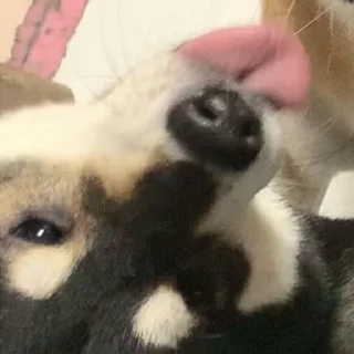 😛