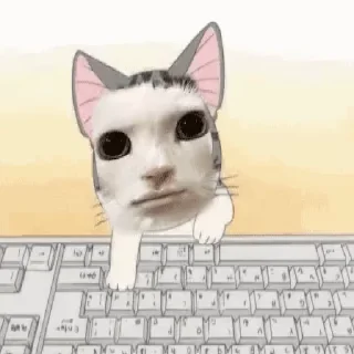 ⌨️