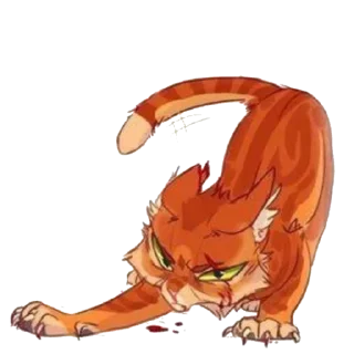 🐱