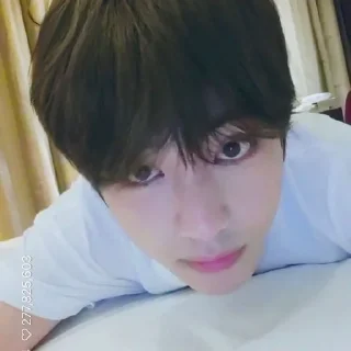 🐺
