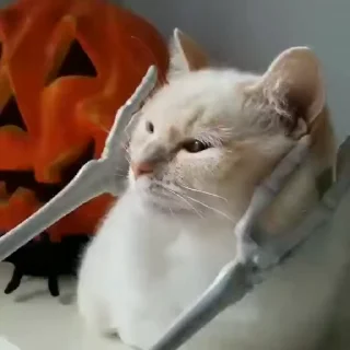 ☺️