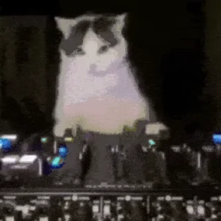 🪩