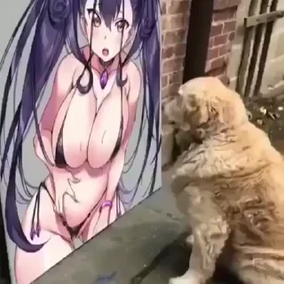 😂