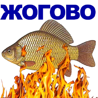🐠