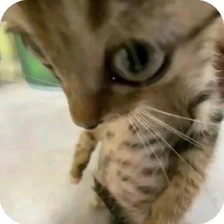 😟