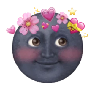 🌚