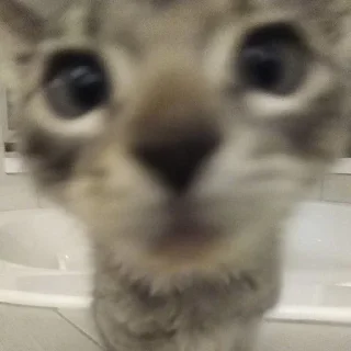 😐