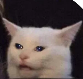 🤨
