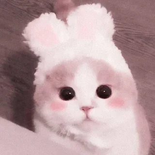 ❤️