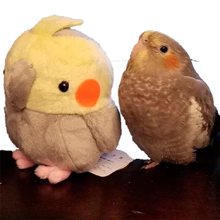 ☺️