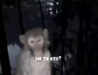 😱