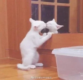 💋