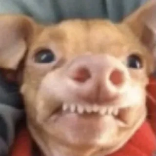 😬