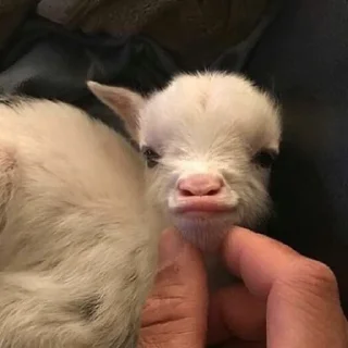 ☺️