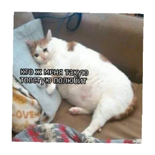 😢