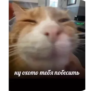 🥰