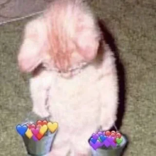 ❤️