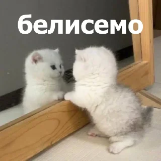 😌