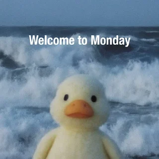 🐤