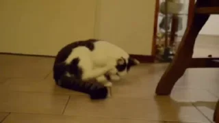 🤪