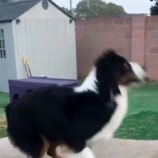 😮